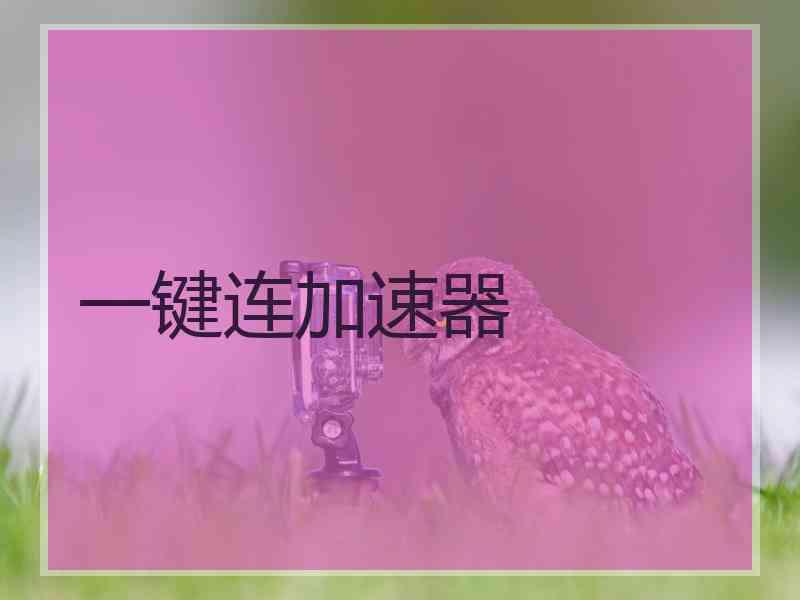 一键连加速器