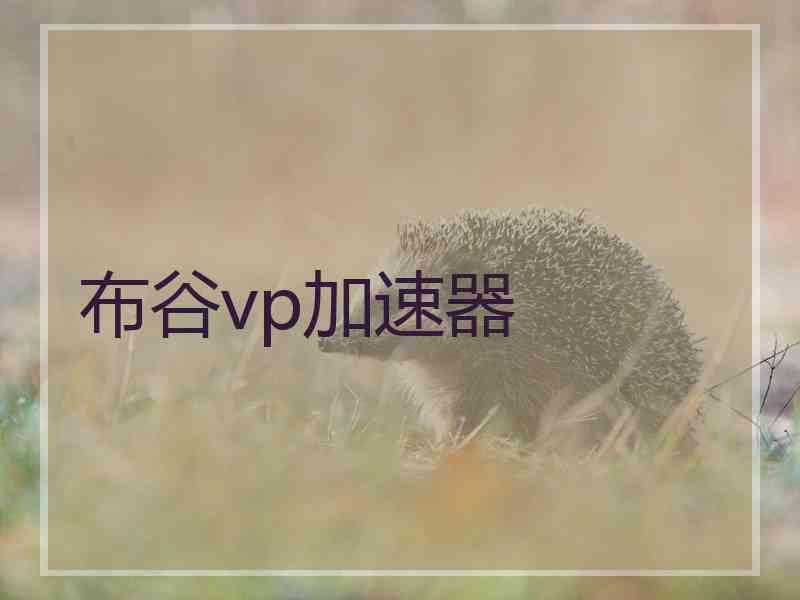 布谷vp加速器