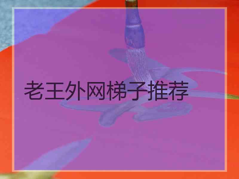 老王外网梯子推荐