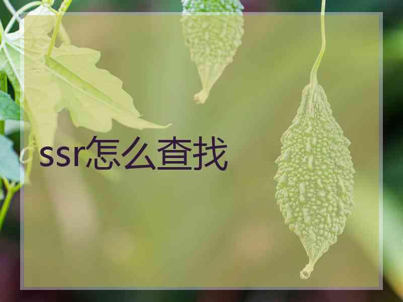 ssr怎么查找