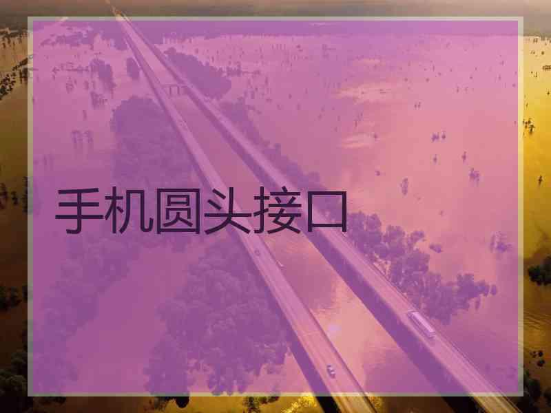 手机圆头接口