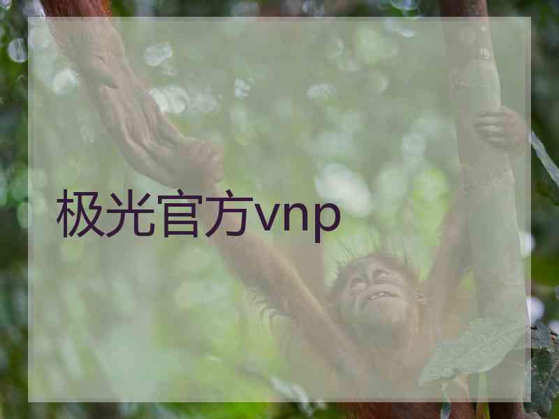 极光官方vnp