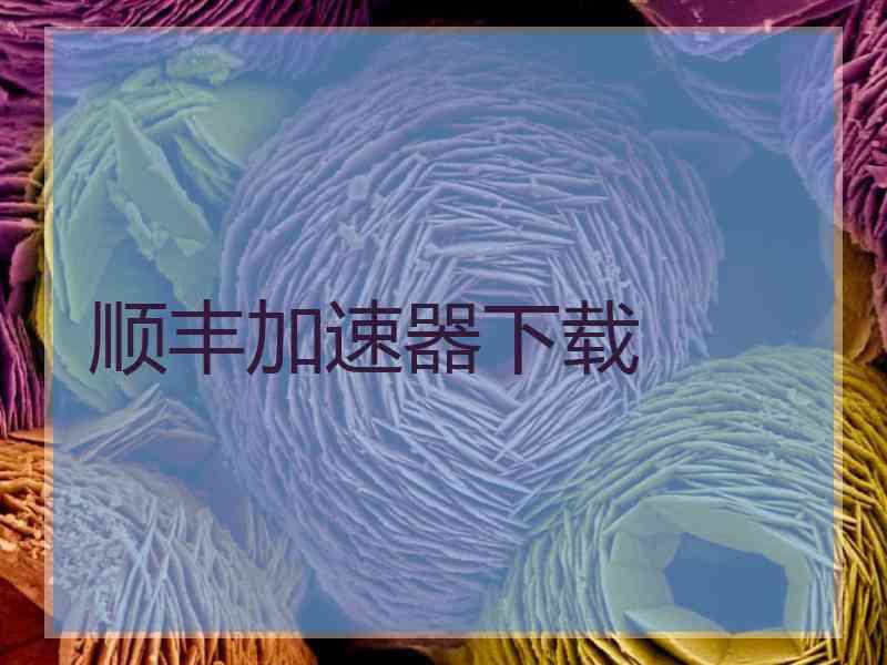 顺丰加速器下载