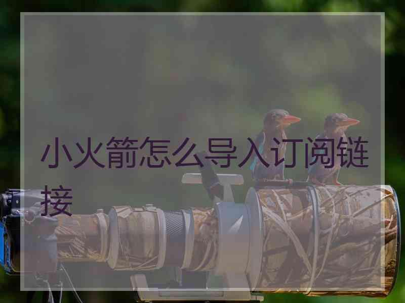 小火箭怎么导入订阅链接