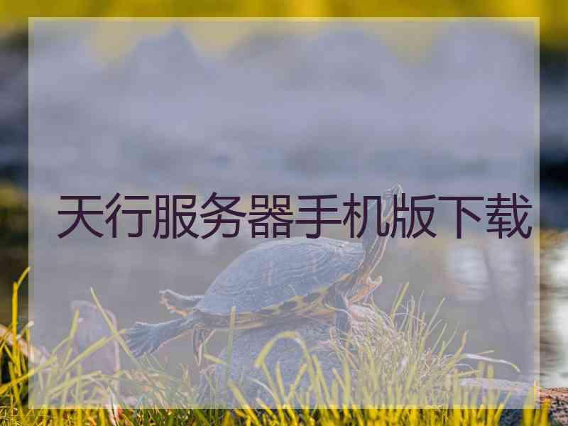 天行服务器手机版下载