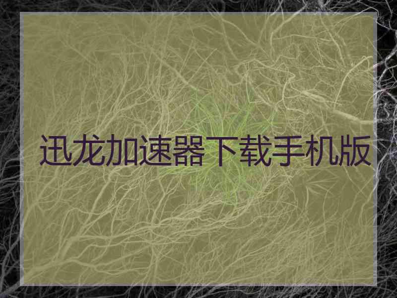 迅龙加速器下载手机版