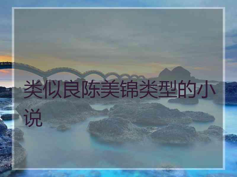 类似良陈美锦类型的小说