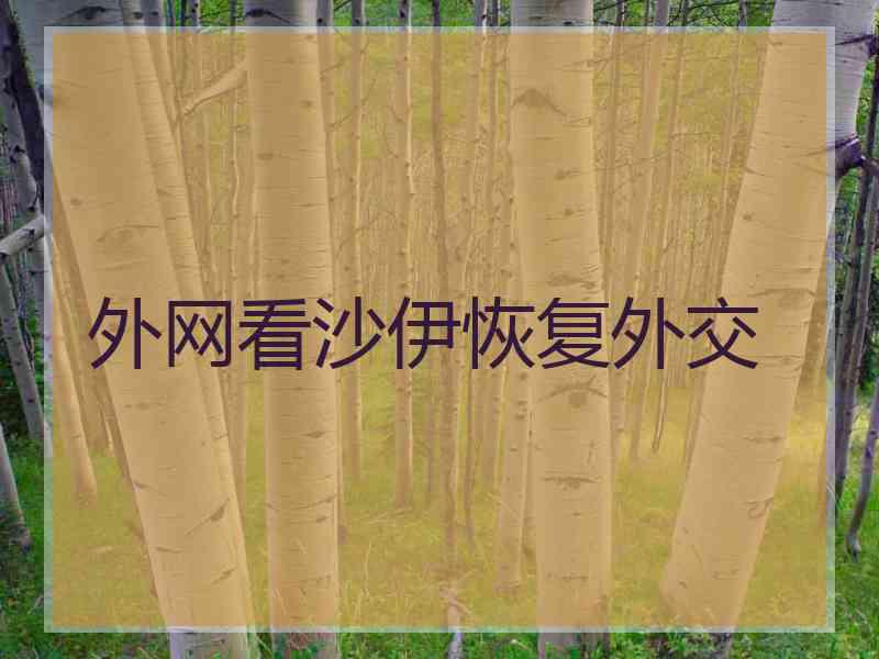 外网看沙伊恢复外交