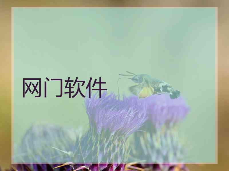 网门软件
