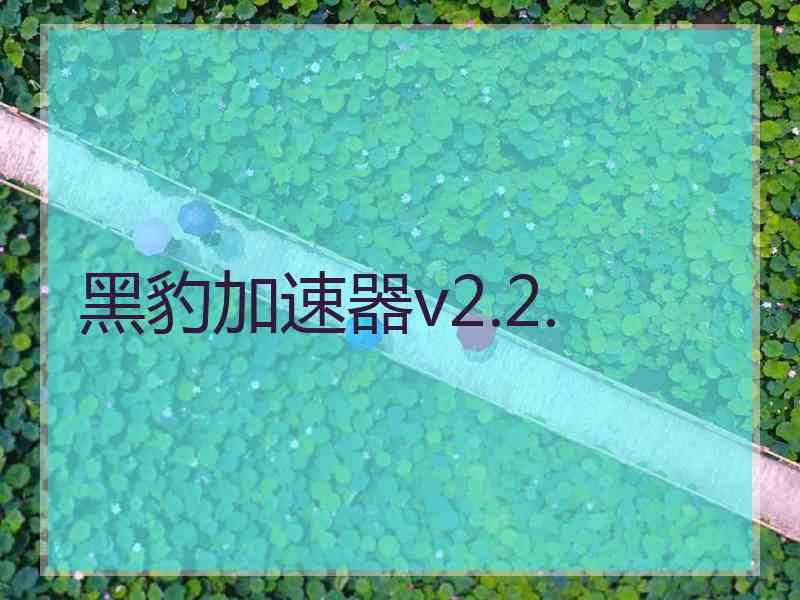 黑豹加速器v2.2.