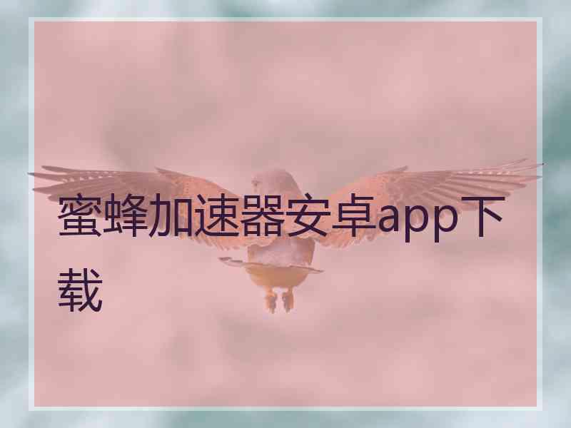 蜜蜂加速器安卓app下载