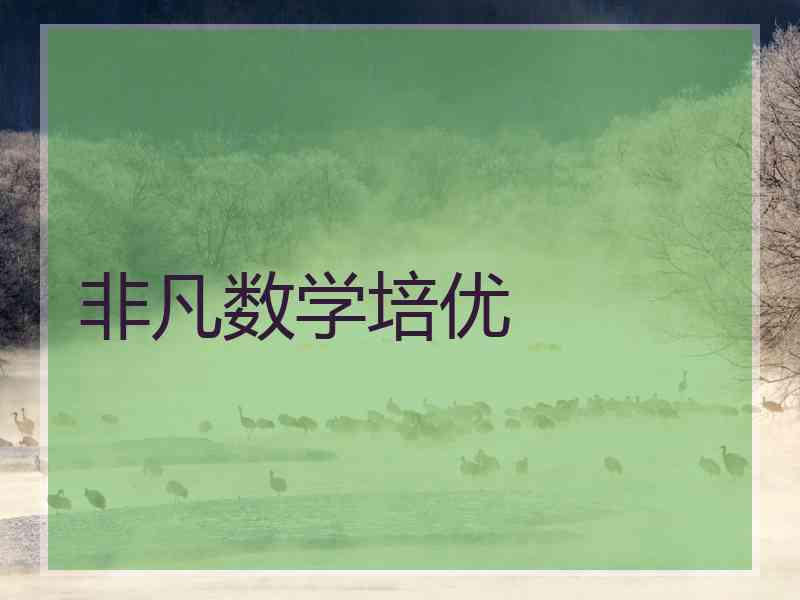 非凡数学培优