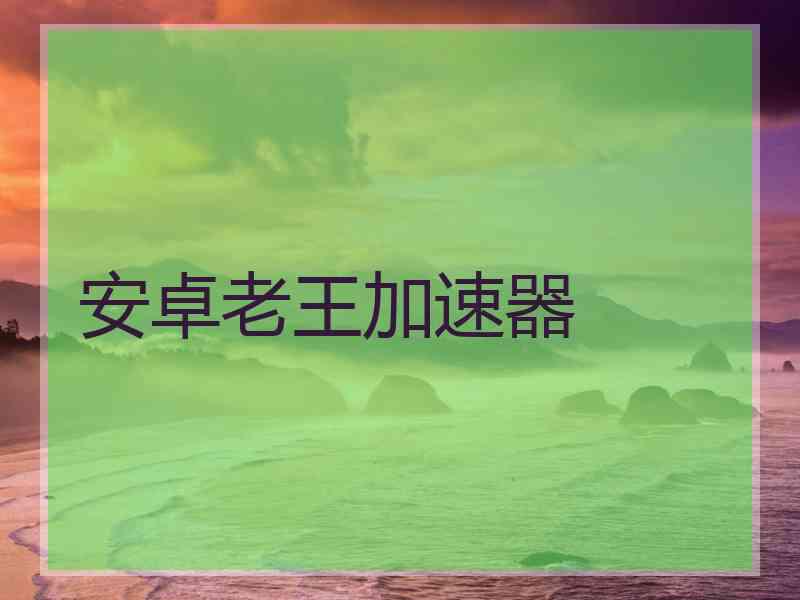 安卓老王加速器