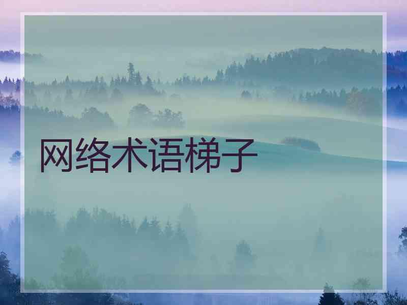 网络术语梯子
