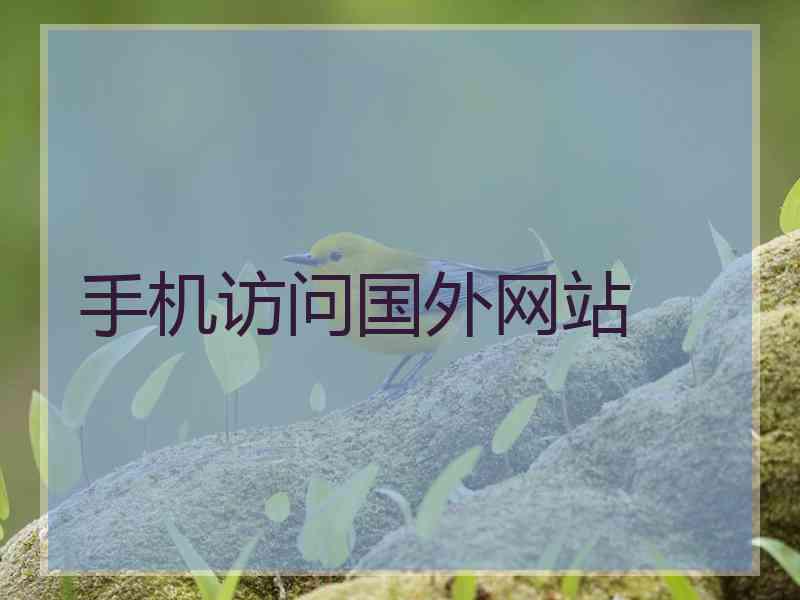 手机访问国外网站