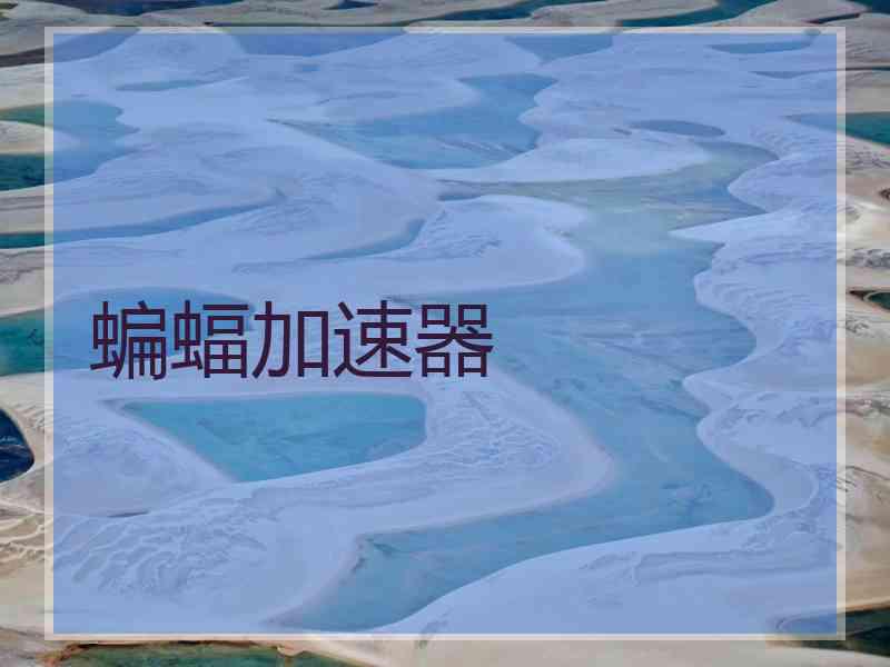 蝙蝠加速器