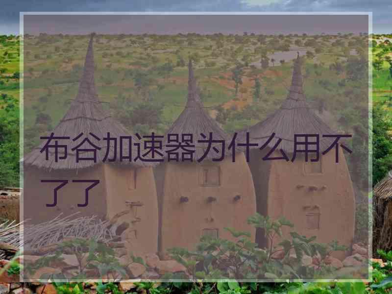 布谷加速器为什么用不了了