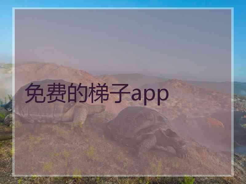 免费的梯子app