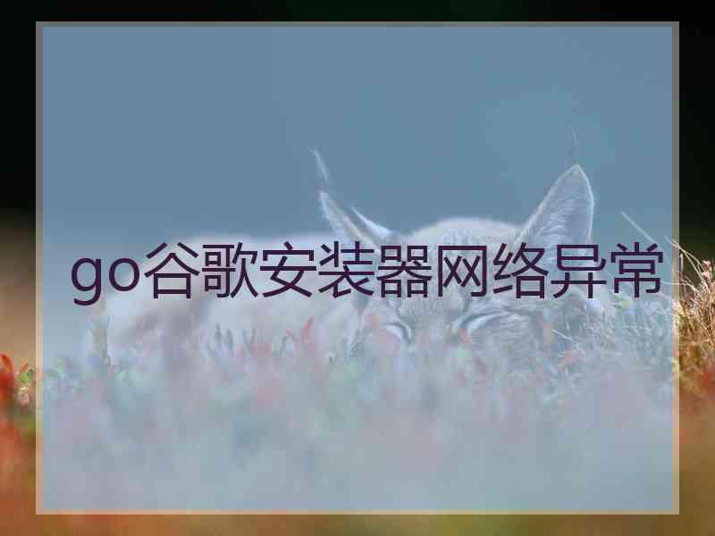 go谷歌安装器网络异常