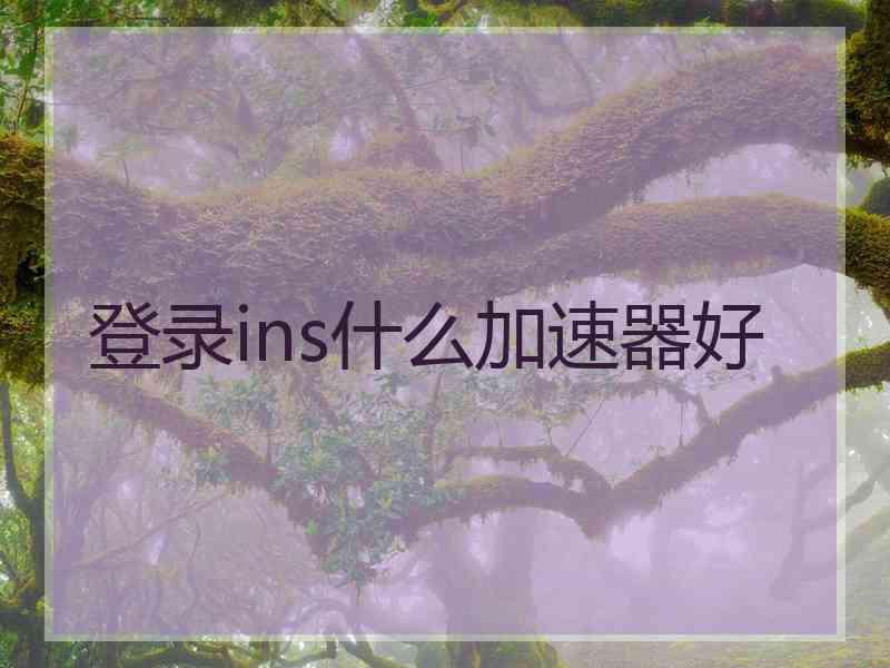 登录ins什么加速器好