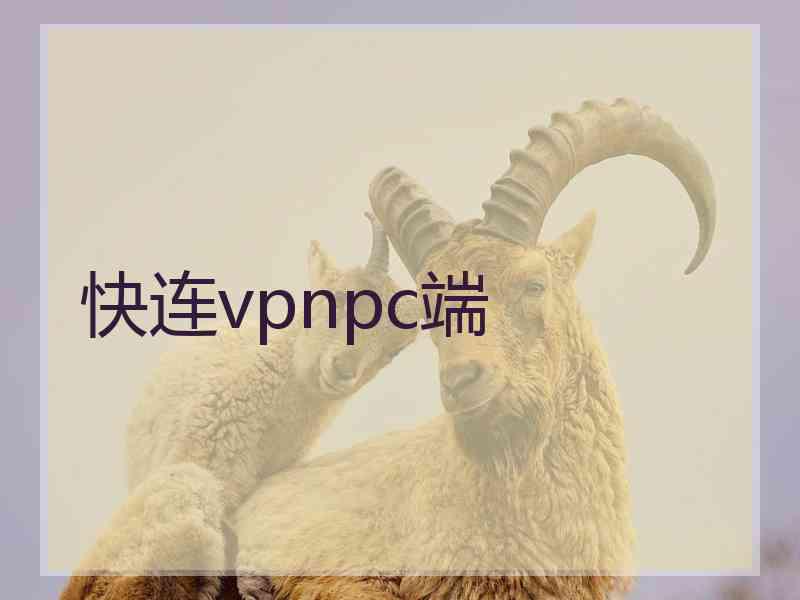 快连vpnpc端