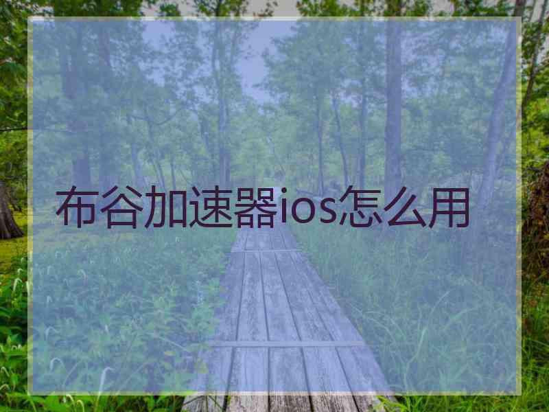 布谷加速器ios怎么用
