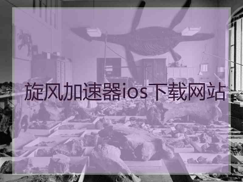 旋风加速器ios下载网站