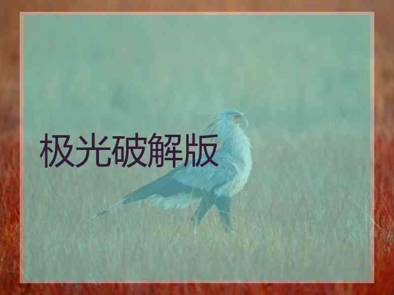 极光破解版