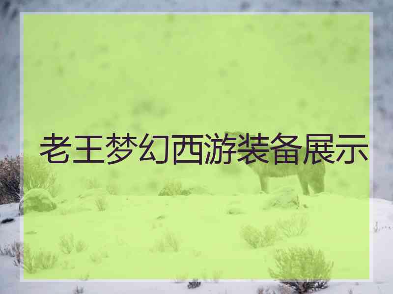 老王梦幻西游装备展示