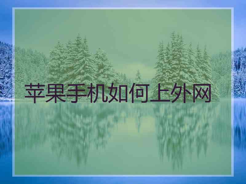 苹果手机如何上外网
