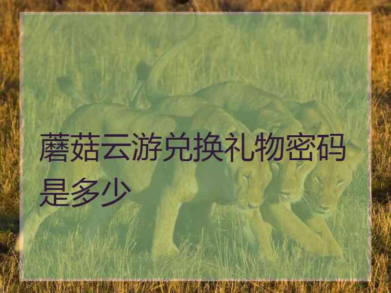 蘑菇云游兑换礼物密码是多少