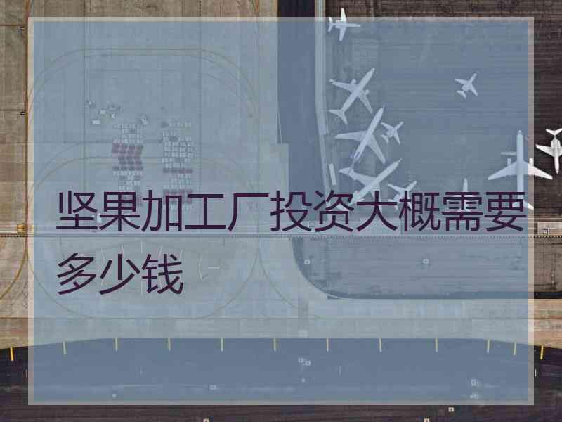 坚果加工厂投资大概需要多少钱