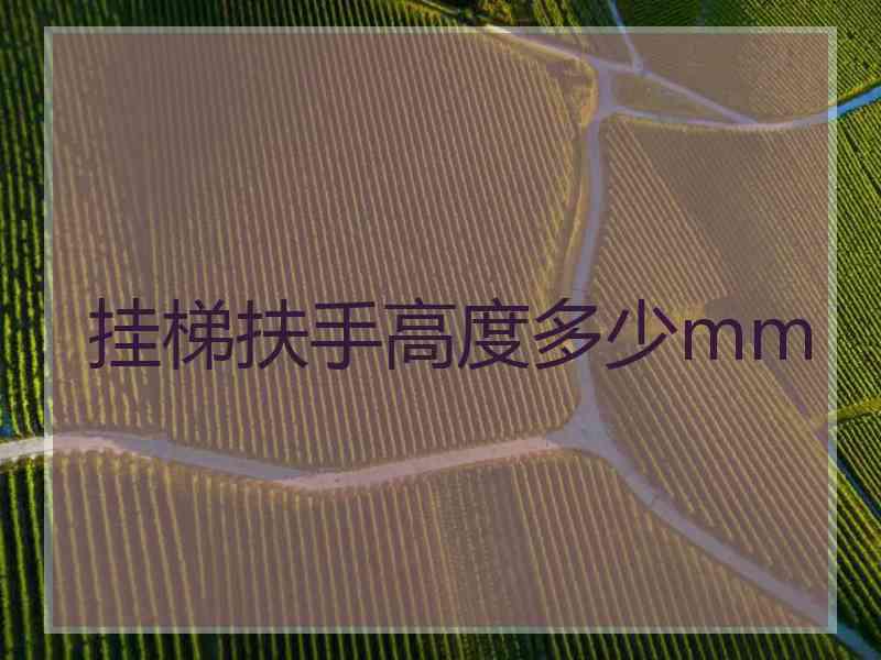 挂梯扶手高度多少mm
