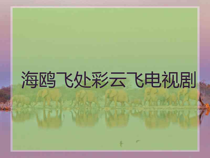 海鸥飞处彩云飞电视剧