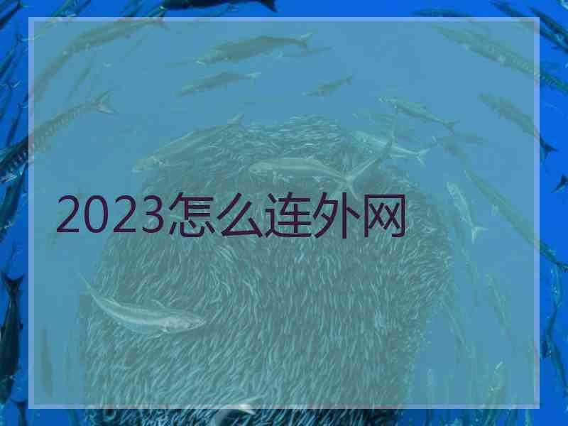 2023怎么连外网
