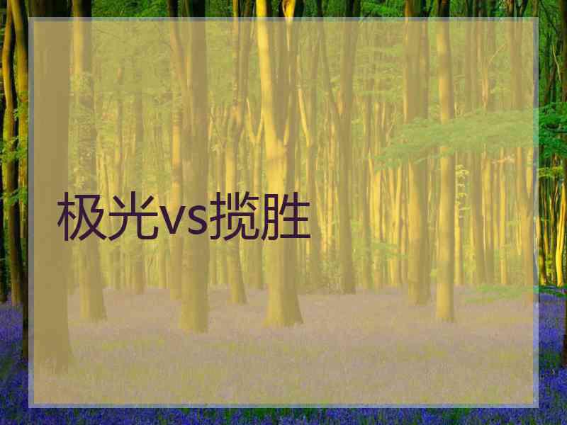 极光vs揽胜