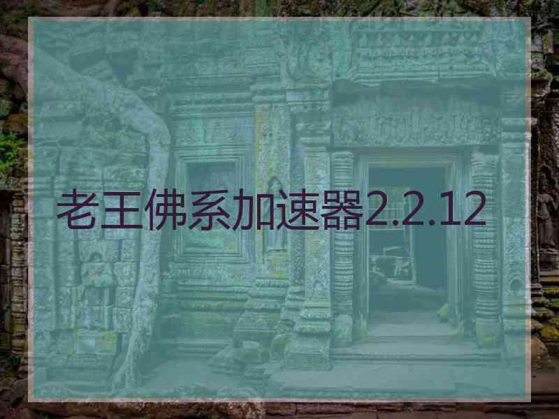 老王佛系加速器2.2.12