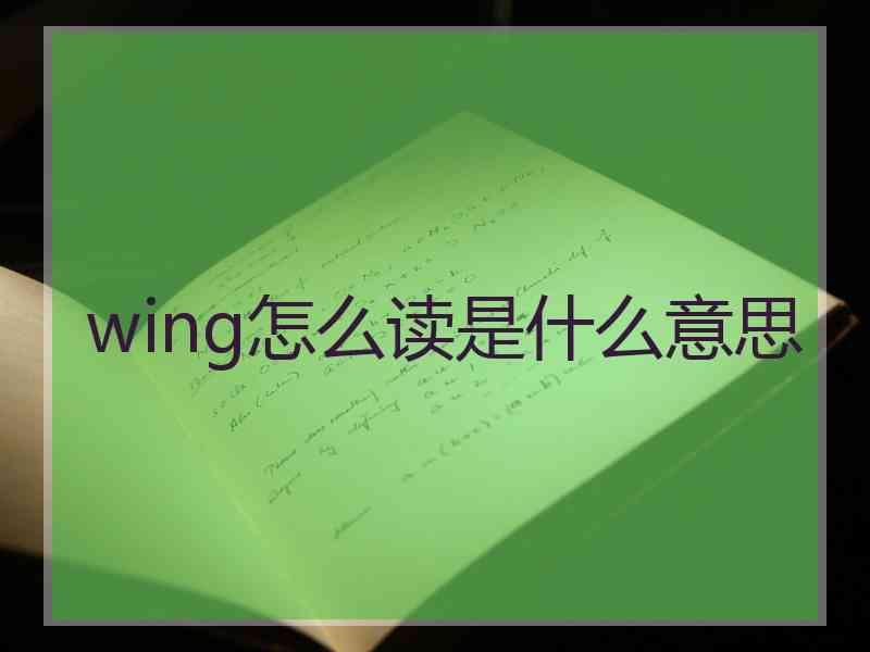 wing怎么读是什么意思