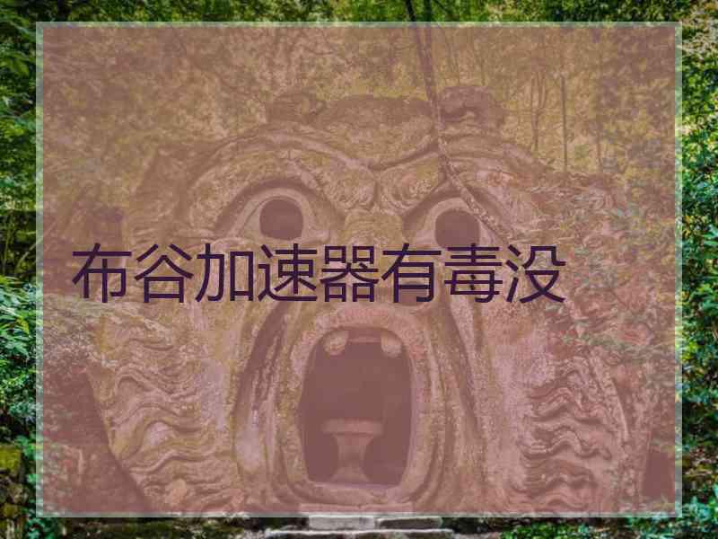 布谷加速器有毒没