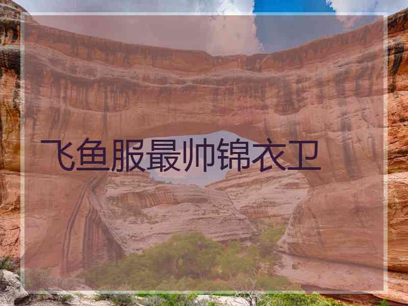 飞鱼服最帅锦衣卫