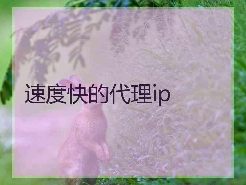 速度快的代理ip