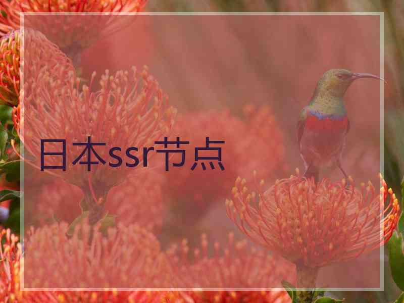 日本ssr节点