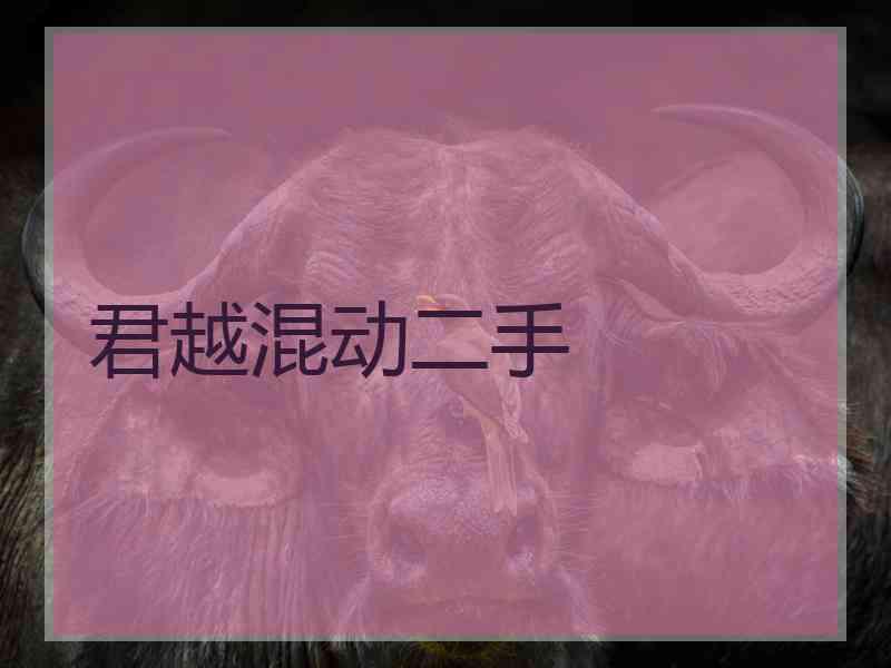 君越混动二手