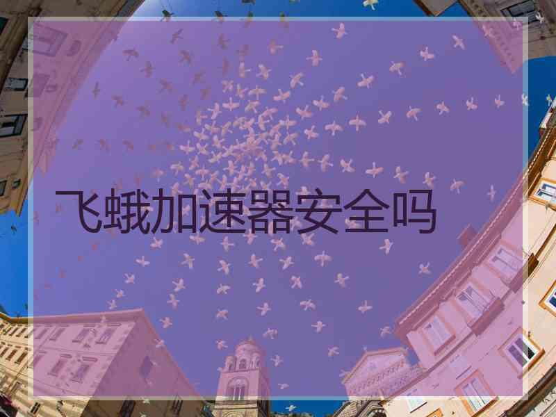 飞蛾加速器安全吗