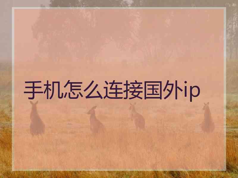 手机怎么连接国外ip
