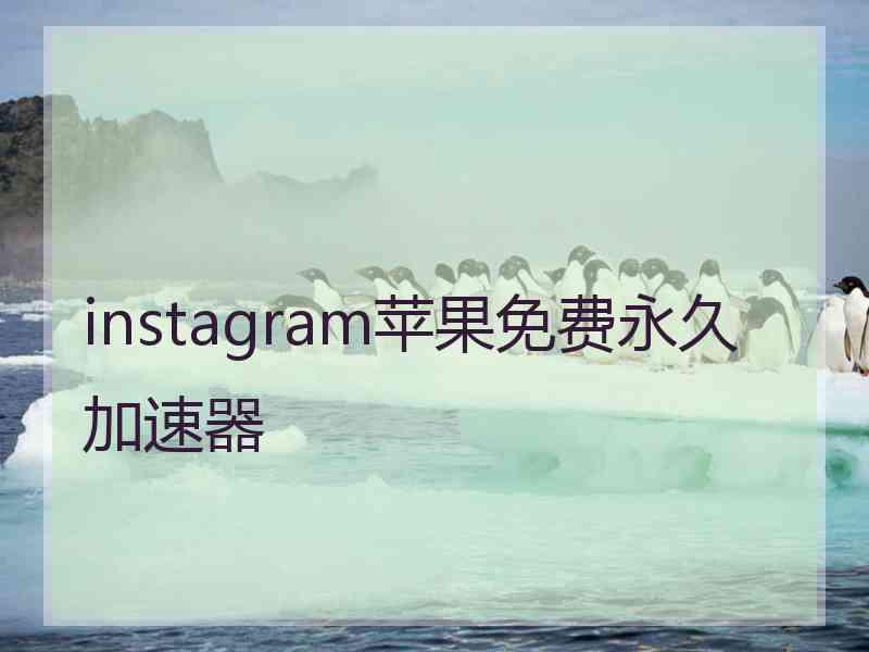 instagram苹果免费永久加速器