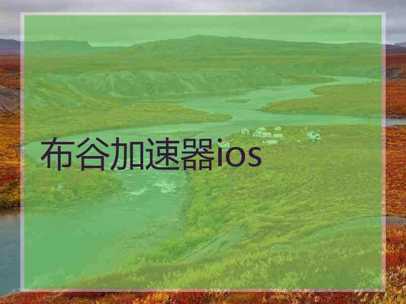 布谷加速器ios