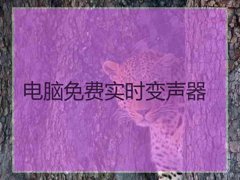 电脑免费实时变声器