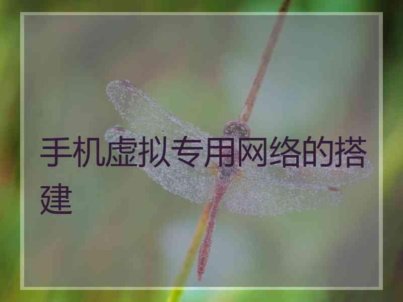 手机虚拟专用网络的搭建