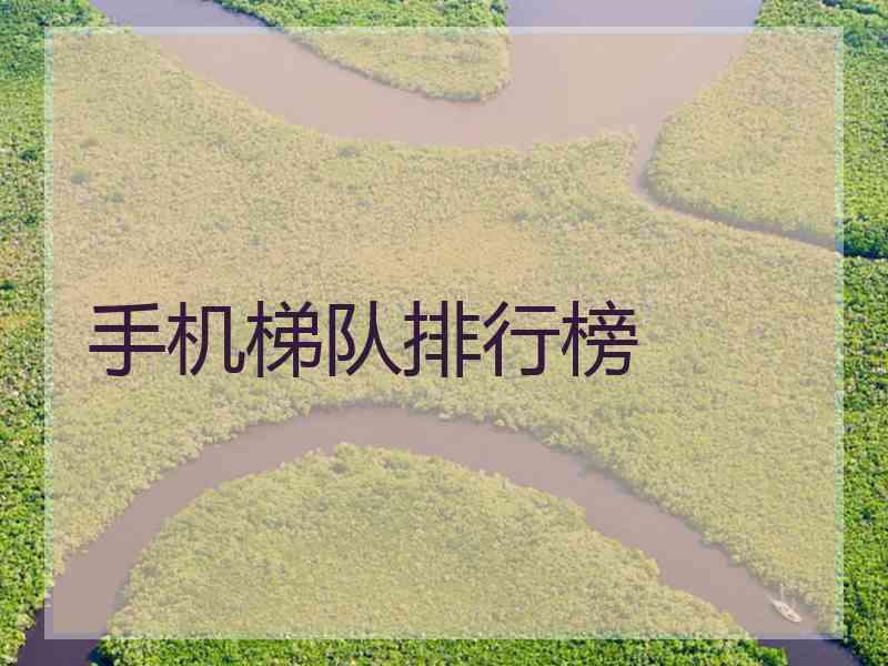 手机梯队排行榜
